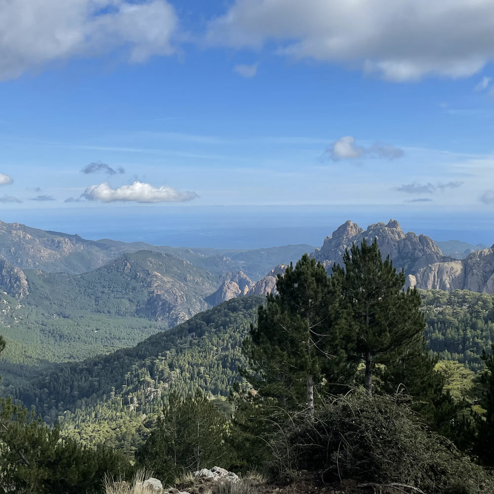 montagne-corse-bavelle-mer-randonnee-bonifacio