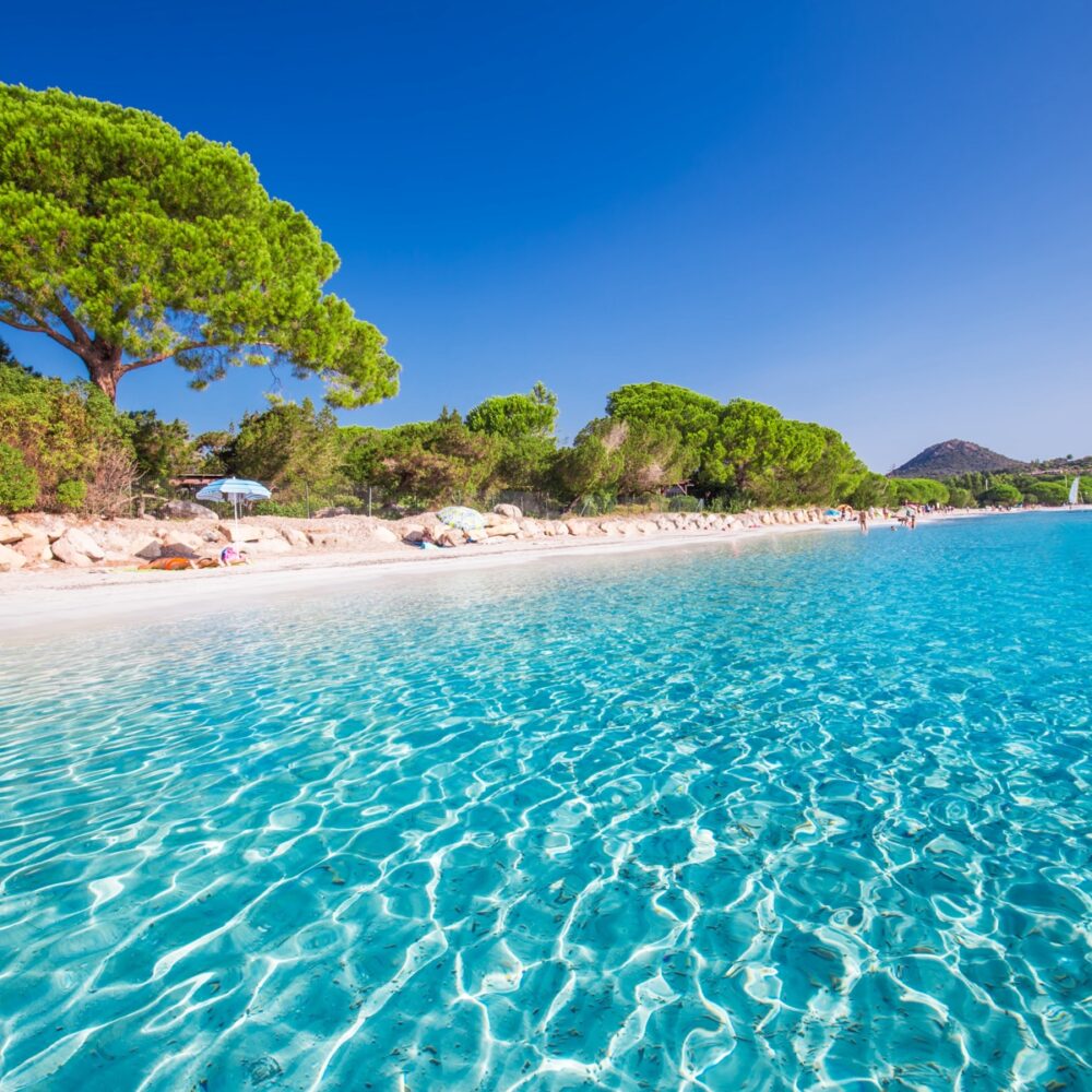 Sandy Santa Giulia beach with pine trees and azure clear water, Corsica, France, Europe.