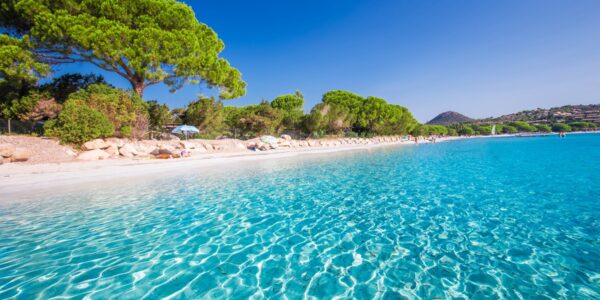 Sandy,Santa,Giulia,Beach,With,Pine,Trees,And,Azure,Clear Sandy Santa Giulia beach with pine trees and azure clear water, Corsica, France, Europe.