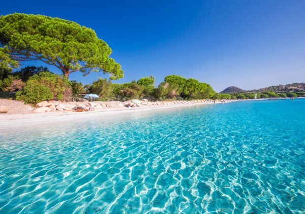 Sandy Santa Giulia beach with pine trees and azure clear water, Corsica, France, Europe.
